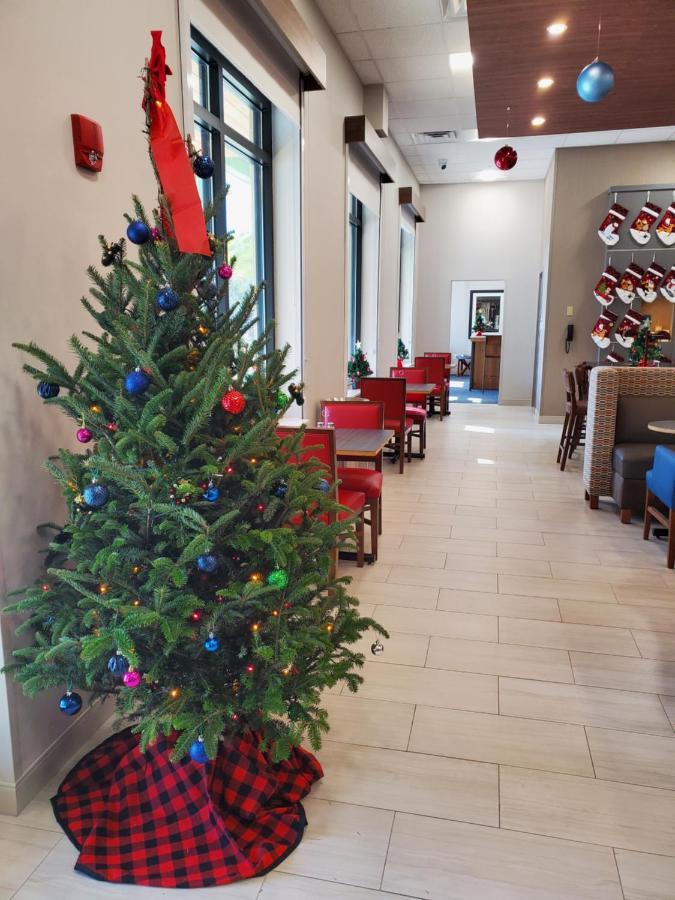 Holiday Inn Express St. Augustine - Vilano Beach By Ihg Екстериор снимка